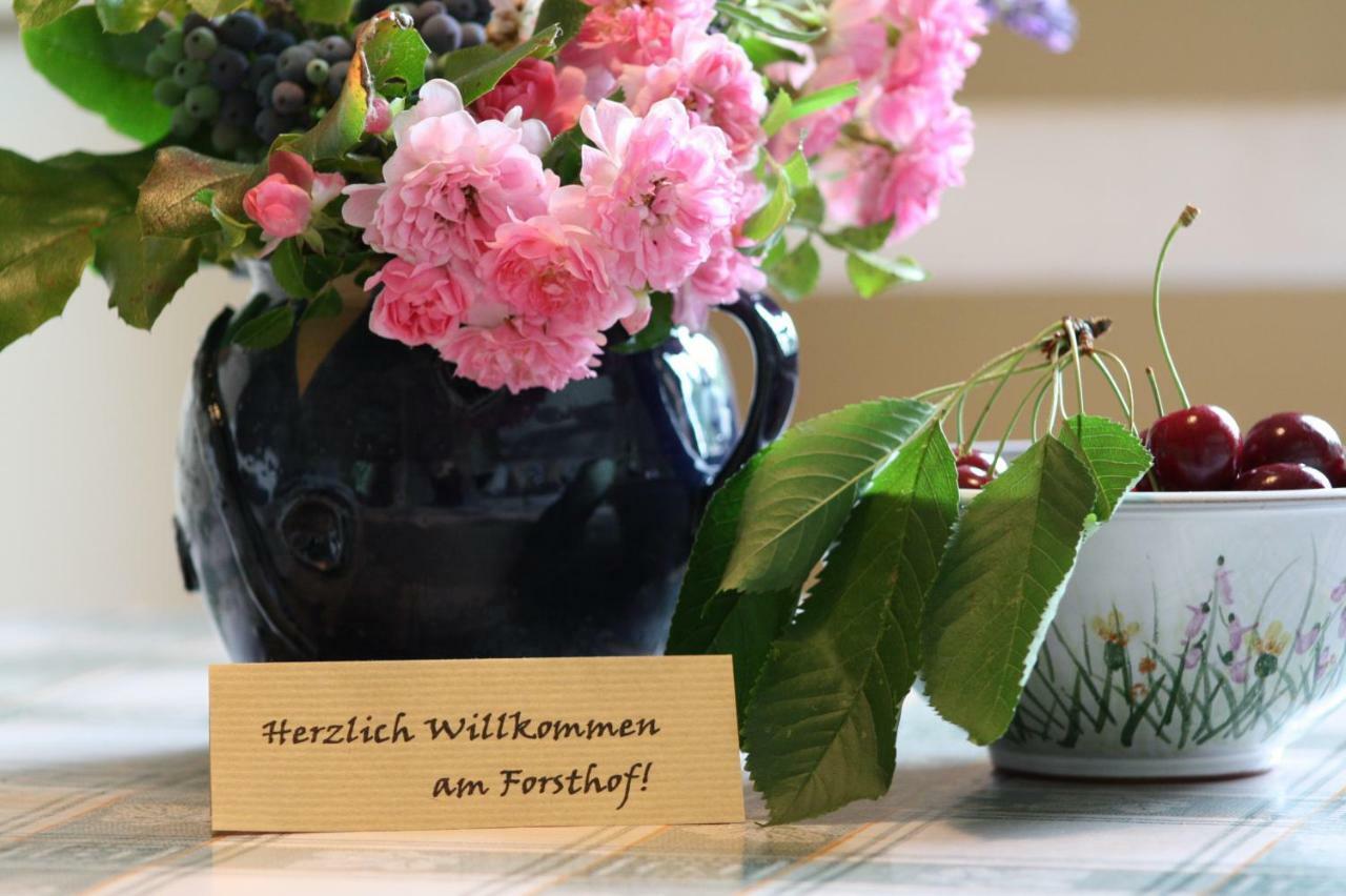 Forsthof Niendorf * Teterow
